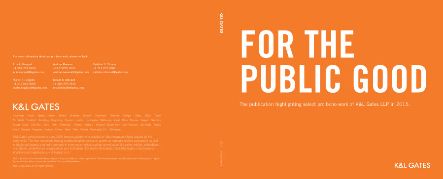 Pro Bono Report 2015 Redesign